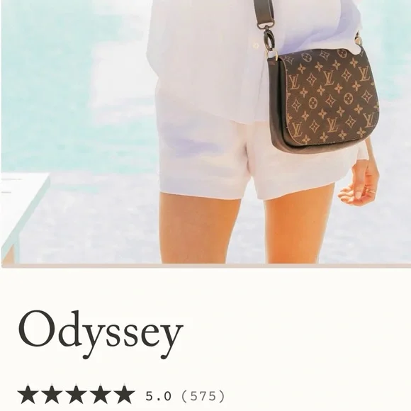 Louis Vuitton Designer Brown Crossbody Bag - Picture 11 of 15